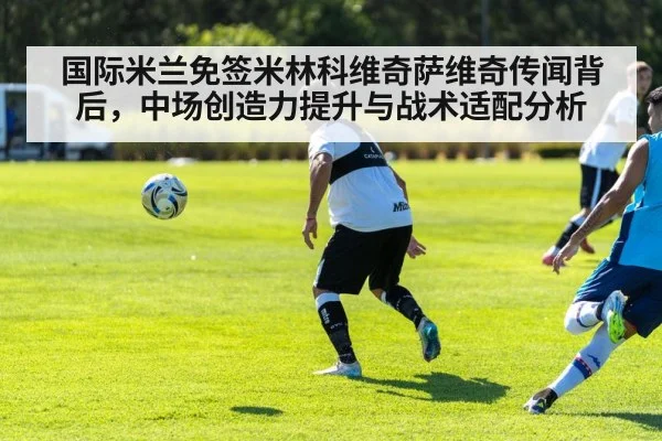 国际米兰免签米林科维奇萨维奇传闻背后,中场创造力提升与战术适配分析