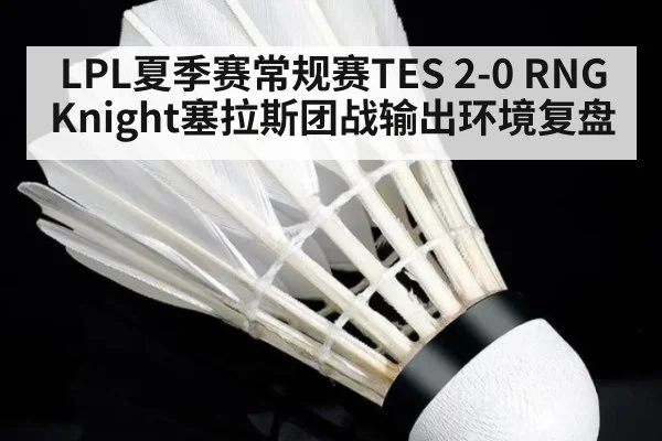 LPL夏季赛常规赛TES 2-0 RNG Knight塞拉斯团战输出环境复盘